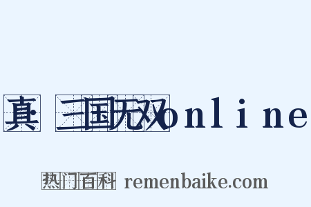 真·三国无双online是什么意思的图片